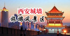 男的狂插女中国陕西-西安城墙旅游风景区